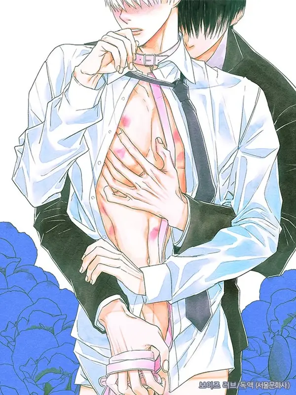 보이즈 러브(Boys Love)